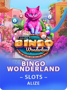 bingo wonderland