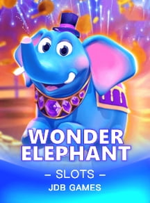 wonder elephant