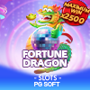 Fortune Dragon